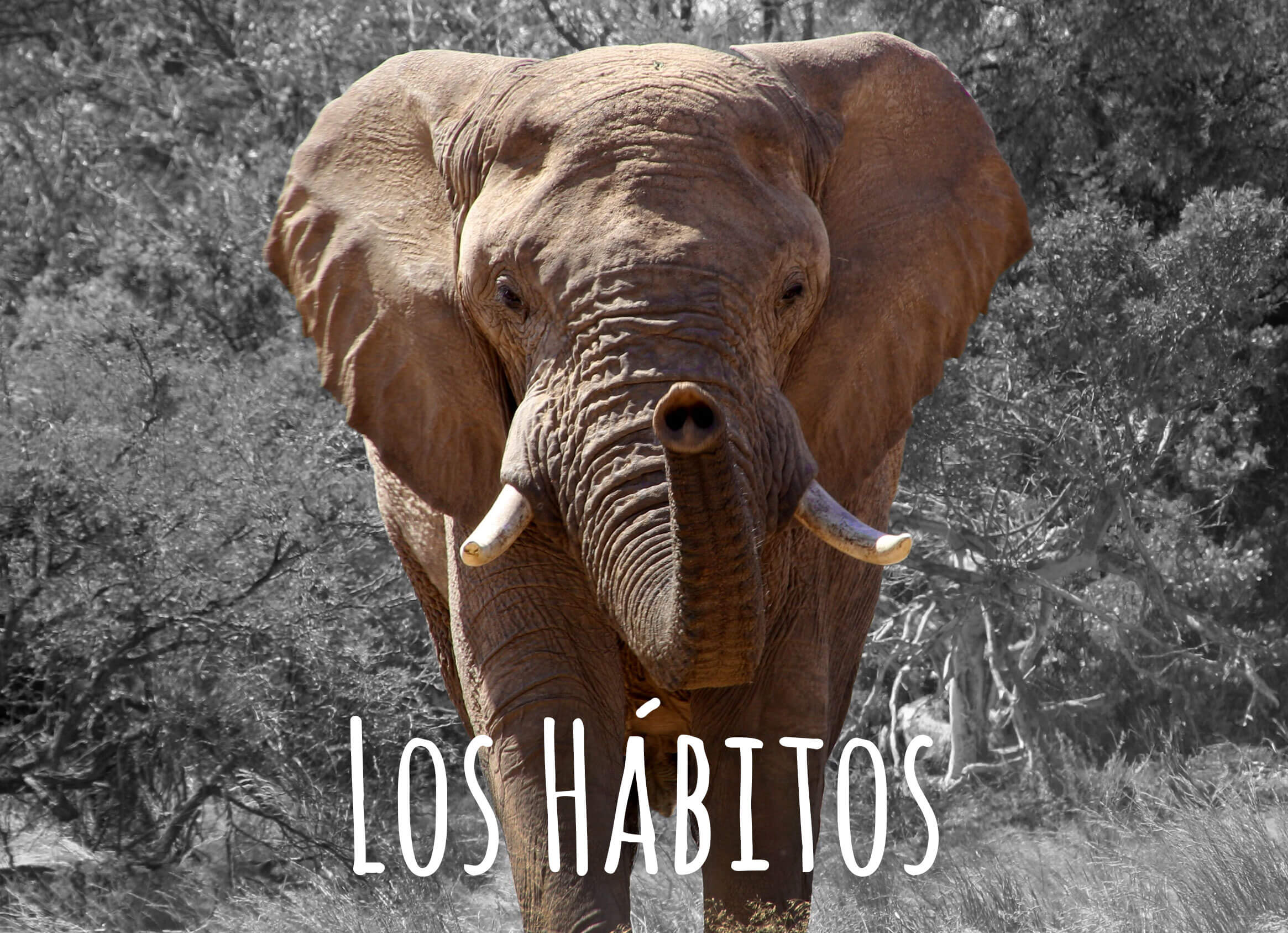 los habitos