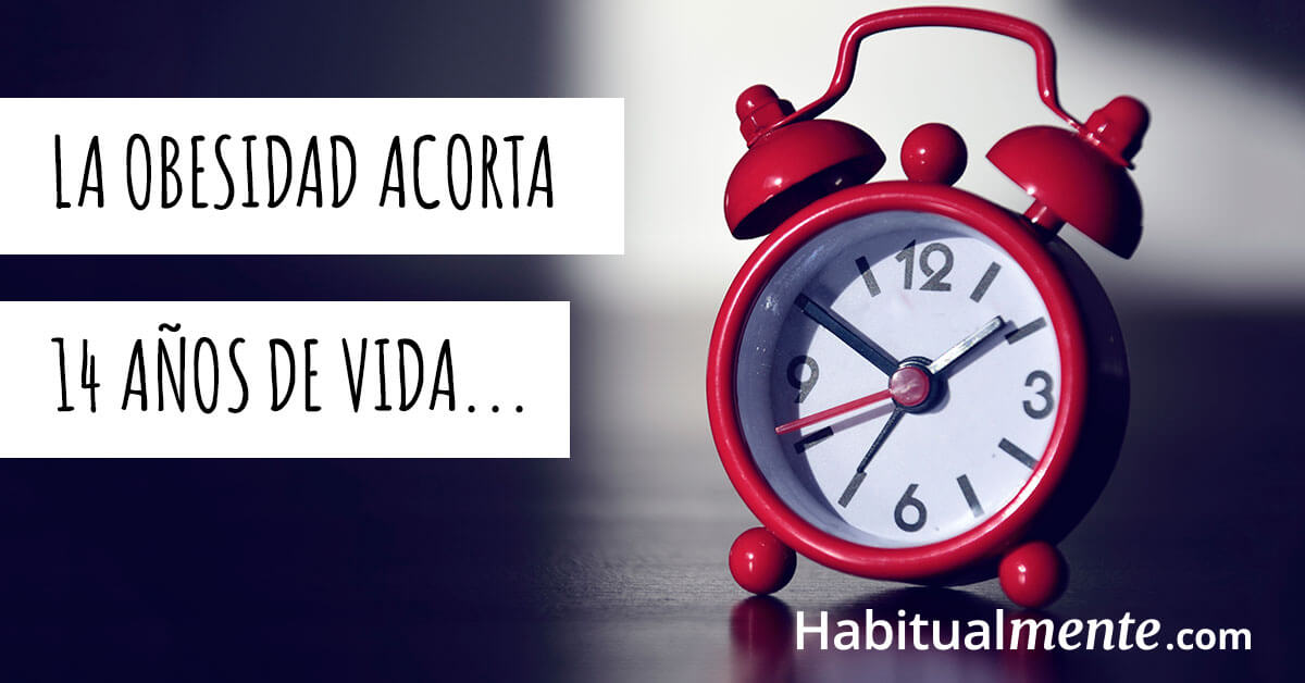 La obesidad acorta años de vida hábitos infantiles 