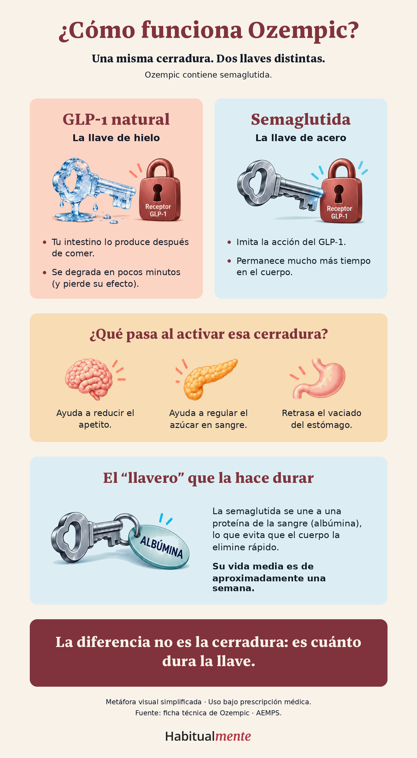 Cómo funciona Ozempic: GLP-1 natural como llave de hielo y semaglutida como llave de acero para una misma cerradura.