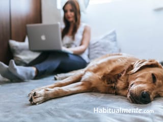 ¿Trabajas desde casa? Estos 5 consejos realistas rescatarán tu productividad